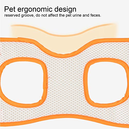 Hond Assist Harnas Zwak achterpoten Mesh Pet Hondenlift Harnas Achterkant voor Gehandicapt letsel Oudere hond Assist Harnas (S) 5