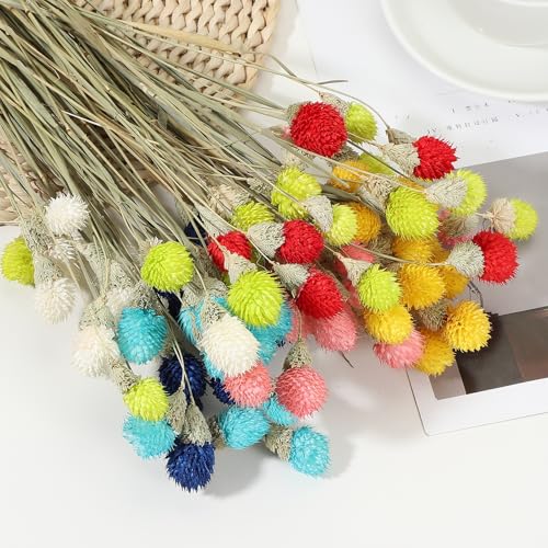 40cm gedroogde bloemen voor vaas, 30st Mini Natuurlijke Pijnboom Globe Bloemen Bulk Boeket Herfst Natuurlijke Gedroogde Pijnboom Bloemen voor thuis, Bruiloft, Bruid, Partij, Sky Blue 4