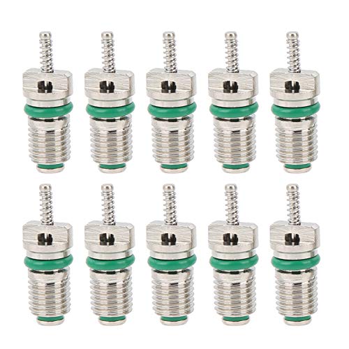 Airconditioning Valve, 10 stuks Auto Airconditioning Valve Cores Naalden Hoge drukbestendig voor R134A Koelmiddel