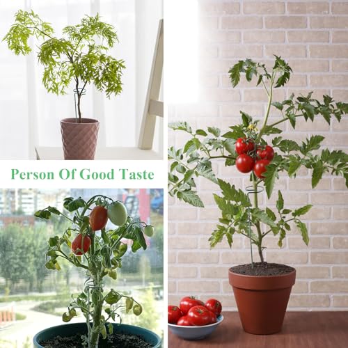 10st Tuin Polen, Plant Support Ring, Enkele handvat metaal met 20 Clips, Plant Stakes voor Bloemen, Tomaten (45cm) 5