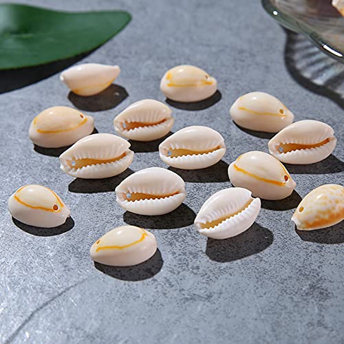 Mossel kralen, Ambacht Shells Ideaal voor ambachten, decoratie of sieraden maken (zak van 70) 3