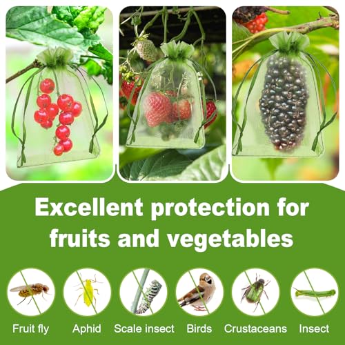 Verpakking van 50 Fruitbeschermingszakken, 5,9 × 10 cm, Groene Mesh Hoes met koord, Organza Säckchen Small Garden Net, Pest Barrier voor fruitbomen, groenten, bloemen 3