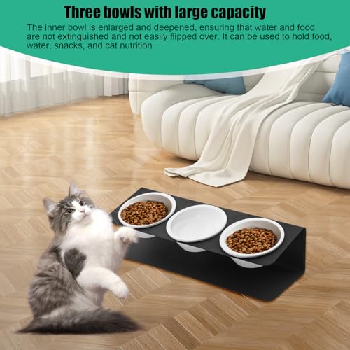 Cat Food Bowl, Raised Dog, 3 Ceramic Bowls, 250 ml, met 15° Helling Metal Stand, Drinkende Bowls voor Water en Voeder, Verhoogde Platen voor Puppies, Kittens, Anti-Medium, Zwart 5
