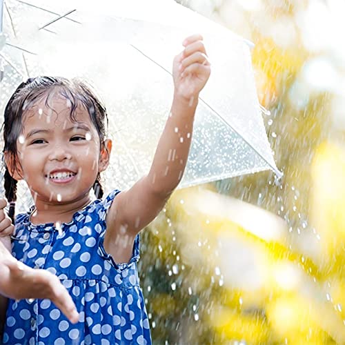 Transparante paraplu, heldere paraplu Portable Bubble Paraplu Automatische Triple Vouw regen paraplu voor Outdoor 5