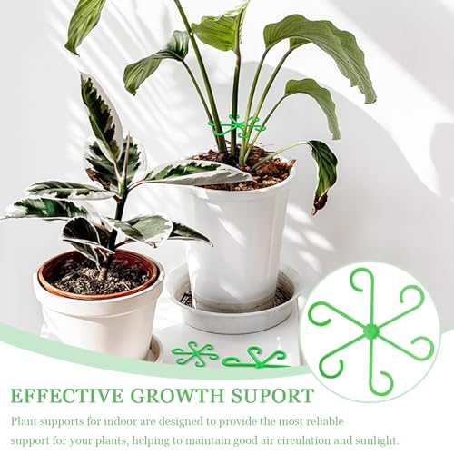 24 st Plant Stam Ondersteuning Verstelbare Planten Ondersteuning Planten Ondersteuning voor Binnen Planten Klimmen Indoor Planten Fixatie Klemmen Herbruikbare Plant Trellis Hook voor klimplanten (3 3