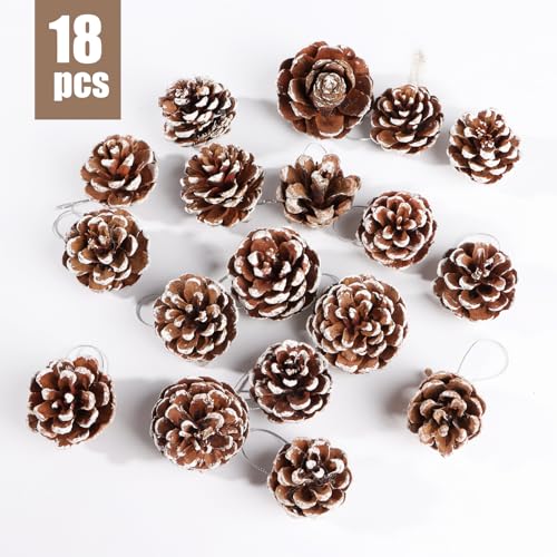 18 Kerstmis Decoratieve dennenappels, Natural White Pine kegels, Ornamenten, Miniaturen, Kerstmis Decoratie voor kerstboom, Tafel, Garland, Gift, Home, Tuin 5