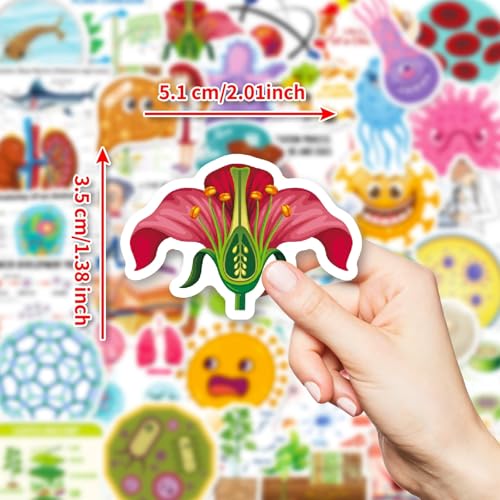 Fysica, Chemie, Biologie Stickers voor tieners en volwassenen, 50 stuks, Experiment, Student, Vinyl Sticker Set, Auto, Motorfiets, Fiets, Skateboard, Snowboard, Bagage, Laptop, Koffer, Helm 3