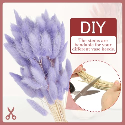 15,7 Inch Bunny staarten gedroogde bloemen, 80 stuks Pampas Grass decoratie Konijn staart Natuurlijke Pampas Gras Losse Fluffy gedroogde Pampas gras, paars 3