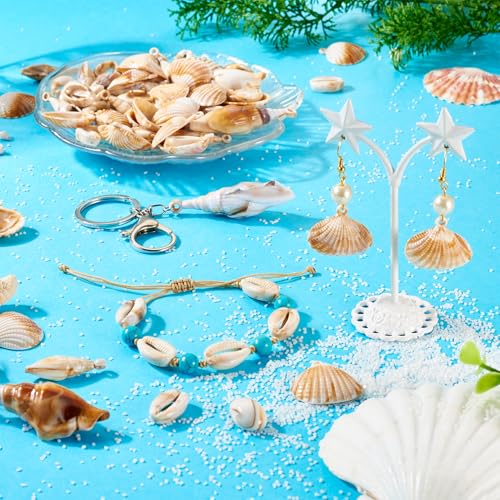 5 stijlen Shell Shape acryl hangers 100g Cowrie Shell Shell Charms Strand Vibe Seashell Bedels voor DIY oorbellen ketting sieraden maken, acryl, acryl 4