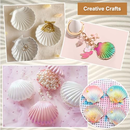 25 st. Natural White Scallop, 5-7cm Decoratieve grote natuurlijke schelpen, Duurzaamheid Natuurlijke Shell Dishes voor DIY ambachten, ambachten, bruiloft, decoratie, Strand Themafeest 5