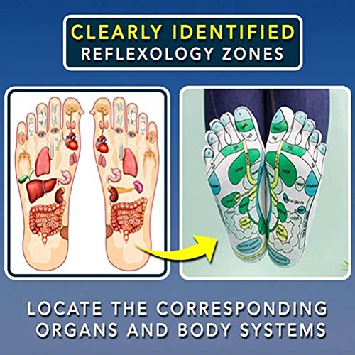 Acupressure Reflexology Sokken Voetmassage Reflectiegebied Schematisch Sokken Voetdrukpunt Acupressure Massage Hulpmiddel Sokken helpen de bloedsomloop te verbeteren 5