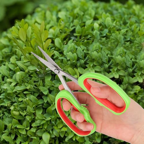 Bonsai schaar roestvrij staal Japanse bonsai tuingereedschap fruitboom tak trimmen schaar tuingereedschap druivenscharen 5