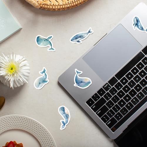 50 stuks walvissticker set, walvissticker set, waterdicht voor auto, motorfiets, fiets, skateboard, snowboard, bagage, laptop, koffer, helm, motorfiets, computer 4