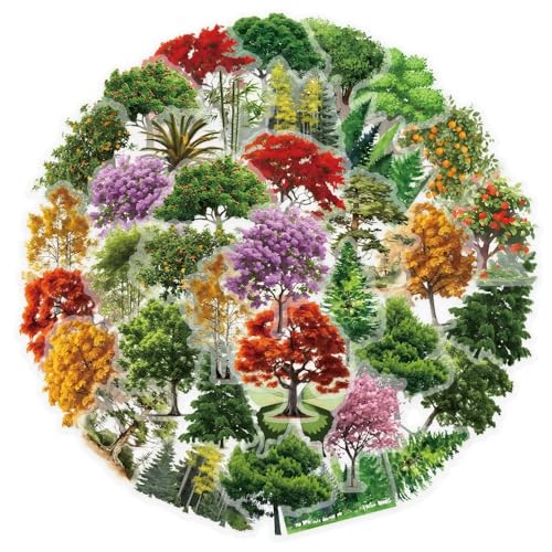 Bosbomen Stickers voor tieners Volwassenen 50 stuks Bosbomen Vinyl Sticker Set Auto Motorfiets Fiets Skateboard Snowboard Bagage Laptop Koffer Helm Motorfiets Computer