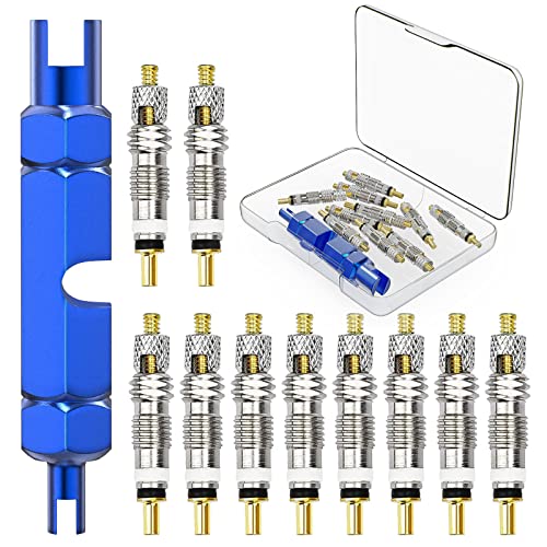 Presta Valve Cores, 11-Piece Fiets Presta Valve Removal Kit voor universele wegfiets en mountainbikes, vervanging Presta Valve Core vervanging Kit Inclusief uitbreidingssleutel