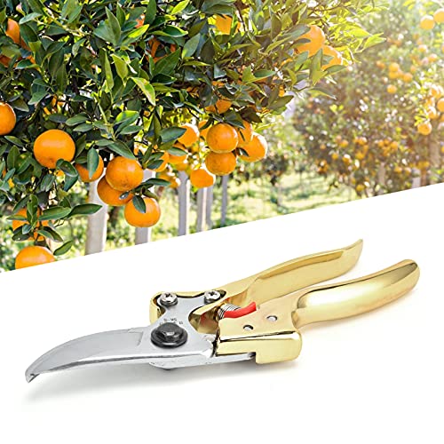 Snoeischaar 210 x 55 mm Gouden Fruitschaar Planten Tang Handschaar Bypass Schaar Schaar met anti-slip tanden Grooves voor tuin en landbouw 5