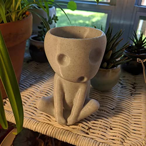 Head Planter Pot, Luminous Face Planter Pot, Cactus Planter, Cute Resin Succulent Planter Bloem Pot voor Home Office Decor 4
