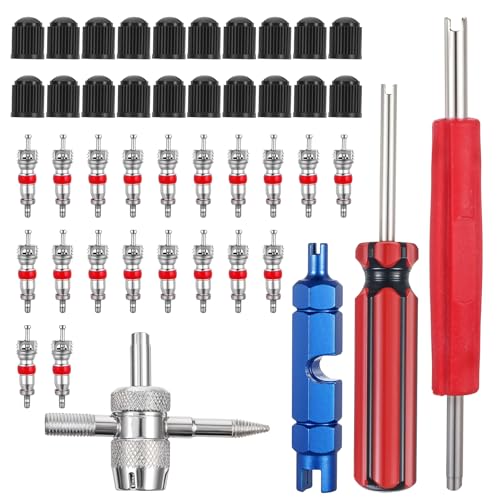 Band Valve Verwijderaar, Auto Valve Gereedschappen, Valve Reparatie met Dubbele en Enkel Hoofd Valve Kern, Valve Core Reparatie Gereedschap voor Auto, Motorfiets, Fiets, 44 stuks
