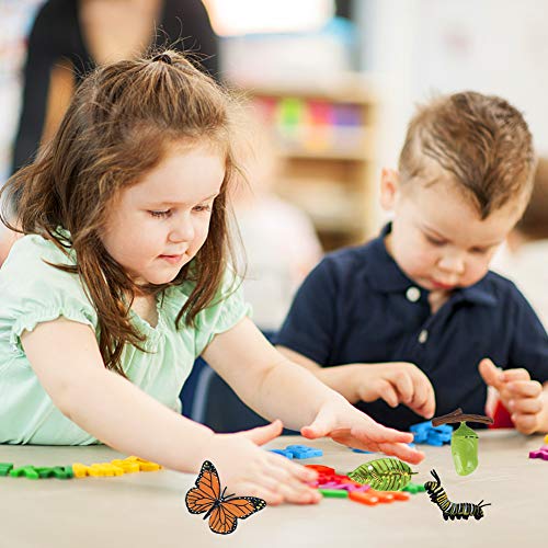 Levenscyclus Dierfiguren Speelgoed, Kikkergroei Life Cycle Model Kinderen Studentenbiologie Speelgoed Onderwijshulpmiddelen, Simulatie Diergroei Cycle Model 4