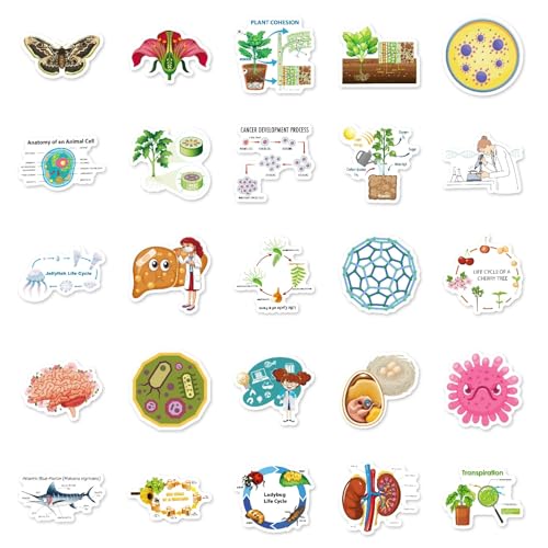 Fysica, Chemie, Biologie Stickers voor tieners en volwassenen, 50 stuks, Experiment, Student, Vinyl Sticker Set, Auto, Motorfiets, Fiets, Skateboard, Snowboard, Bagage, Laptop, Koffer, Helm 5
