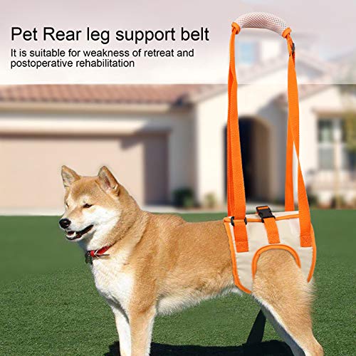 Hond Assist Harnas Zwak achterpoten Mesh Pet Hondenlift Harnas Achterkant voor Gehandicapt letsel Oudere hond Assist Harnas (S) 3