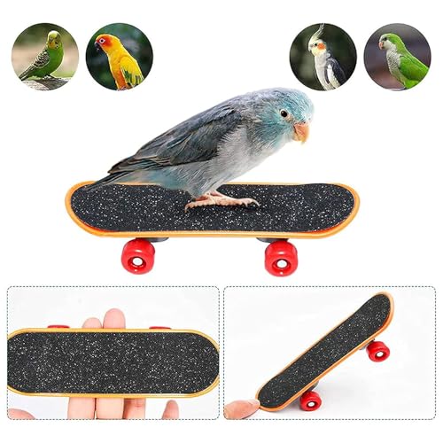 Zee 4 st. Parrot Chew Bird Baubles Ring Basketbal Hoop Skateboard Set voor Parakeets Cockatiels Parakeets, Bird To-y Accessoires 3