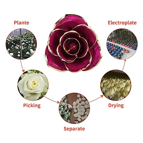 Gouden Rozen Bloemen 24K Gouden Dipped Roos, Eeuwige Roos met Stand voor Verjaardag, Gepersonaliseerde Anniversary Gifts voor Vrouwen, Geconserveerde Echte, Voor altijd liefde 3