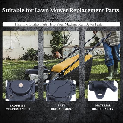 Brandstofpomp voor Briggs & S 491922 691034 692313 808492 808656, olieepromp met bougie, olielang, oliefilter 4