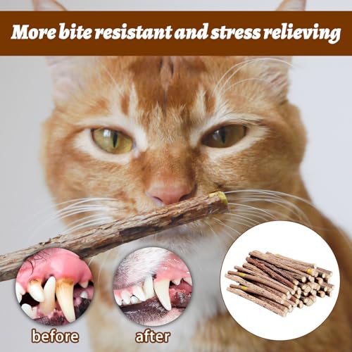 Matatabi Sticks, 30 stuks Catnip Sticks, Natural Cat Sticks, Cat Sticks, Cat Tooth Care en Tegen Mond Odor, Grinding Teeth (diameter 5-7 mm) 5