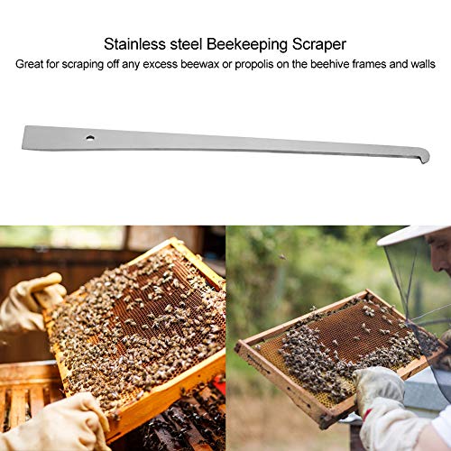 Roestvrij staal Beekeeping Egg Bee Stick Scraper Cleaning Tool Beekeeping Equipment Accessoires Bijenteelt Gereedschap 3