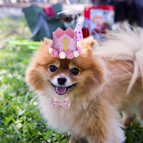 Huisdier Verjaardag Hoed Kit, Honden Verjaardag Hoed, Hondenfeest Decoraties met 1 Kroonhoed, 1 Boeg Tie, 1 rok, 10 Glitter Cijfers, Huisdier kostuums Hoofdkleding Accessoires voor kleine, middelgrote en 4