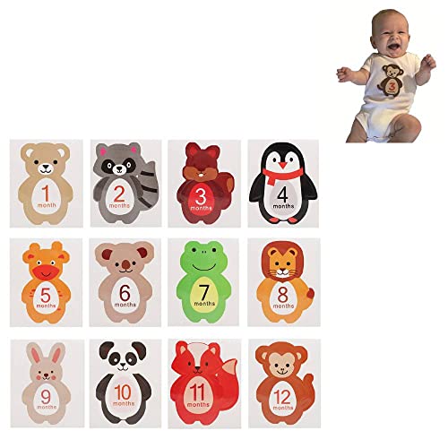 12 st. Baby Monthly Sticker Cartoon Animal Shaped Milestone Memories Photo Props voor 1-12 Maand pasgeboren jongens meisjes