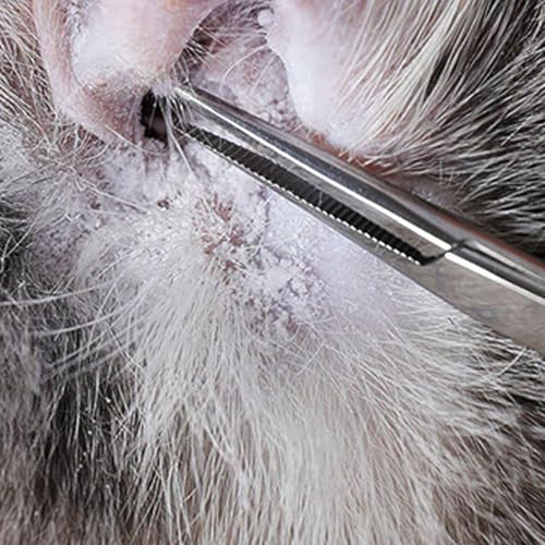 Voedertang voor reptielen en slikken, geschikt voor de dagelijkse voedselbehoeften van reptielen zoals insecten, slikken, spinnen, schorpioenen, etc 5