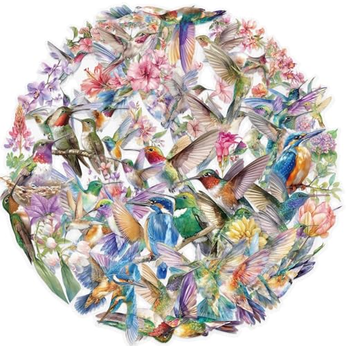 Vogels Transparante Stickers voor tieners en volwassenen, 50 stuks, Vogels, Waterdichte Vinyl Sticker Set, Auto, Motorfiets, Fiets, Skateboard, Snowboard, Bagage, Laptop, Koffer, Helm, Motorfiets