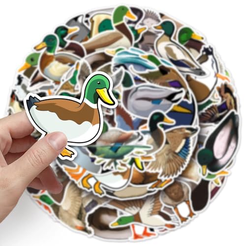 50 stuks Duck Stickers voor tieners Volwassenen Cartoon Green Duck Waterproof Vinyl Sticker Set Auto Motorfiets Fiets Skateboard Snowboard Bagage Laptop Koffer Helm Motorfiets Motorrijwiel