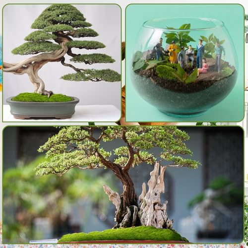 100g kunstmatige mos voor ambachten, nep groene decoratie, bewaarde mos voor DIY projecten, feeëntuinen, bruiloft tafel stukken, Home Decor, partij regelingen 4