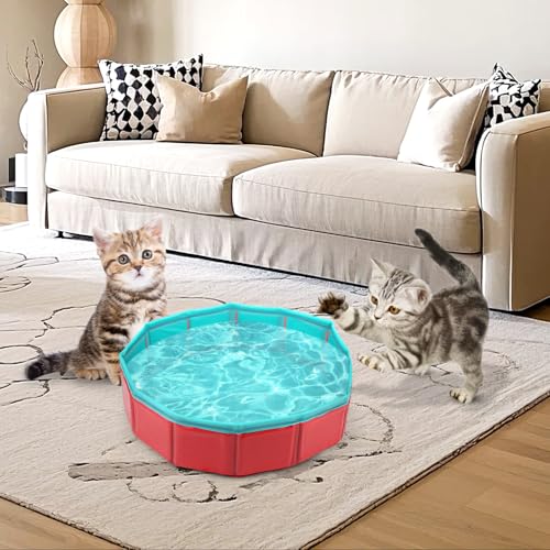 Kattenbad Speelgoed, 30x10cm Opvouwbaar Zwembad voor Huisdieren Fishbowl Katten Interactieve Speelgoed voor Huisdieren Endless Cute Gift (Vissen Speelgoed niet inbegrepen) 3