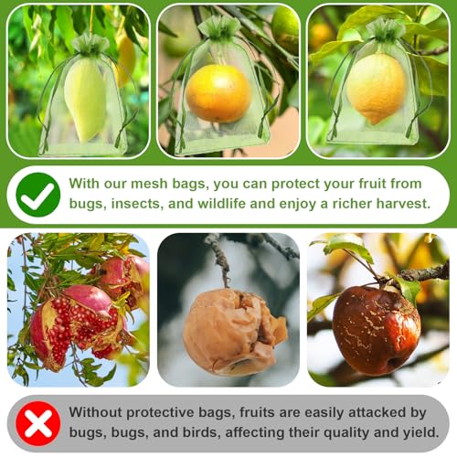 Verpakking van 50 Fruitbeschermingszakken, 5,9 × 10 cm, Groene Mesh Hoes met koord, Organza Säckchen Small Garden Net, Pest Barrier voor fruitbomen, groenten, bloemen 5