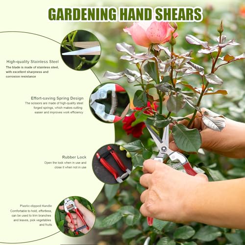 plantenschaar en snoeischaar, Kleine rechte schaar, Oogstschaar, Snoeischaar, Snoeischaar, Snoeischaar, Snoeischaar, Snoeischaar, Snoeischaar, Snoeischaar 5