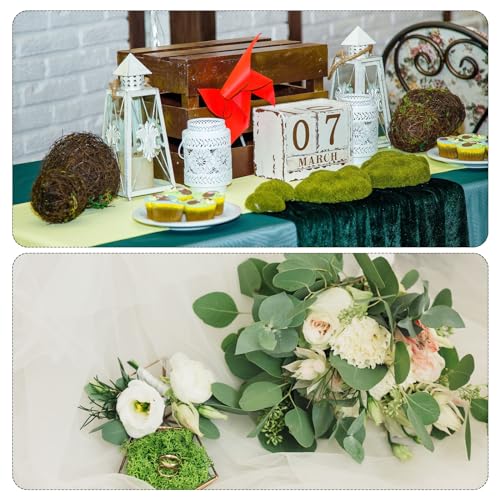 95ml Valse Mos, Geconserveerde Rendier Mos Kunstmos Lichens Centerpieces Decor Faux Mos voor Potted Planten Kerstmis ambachten, Donker Paars 5