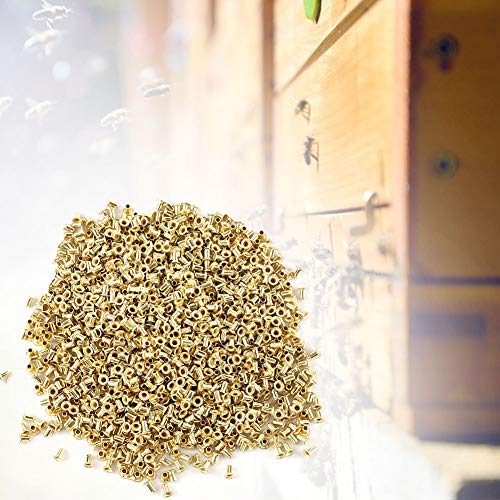 1000/1000 st. Bijenteeltgereedschappen bijenkorf messing nestlijst ogen bijenkorf nest doos imkers Hulpmiddelen voor bijenteelt (1000st)