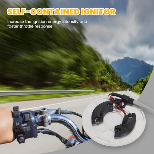 Elektronische ontsteking Kit Electronic Ignition Module Electronic Ignition System Engine Ignition System Ignition Module Replacement Conversion Kit for Electronic Ignition