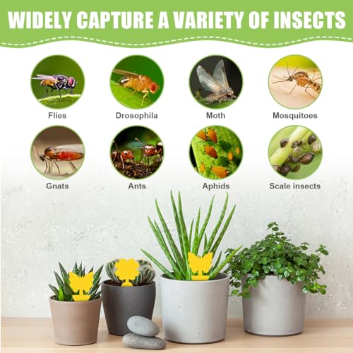 20 st Gele Begrafenis Gnats Control Stickers Vlieg Trap Gele Lijm Trap, Begrafenis Gnats Control voor gele panelen voor binnen planten Pest controle 5
