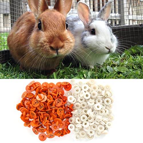 100 Sets oor tag, Konijn oor tag nummer dier identificatie tag marker boerderij voorraden, vee voorraden 3