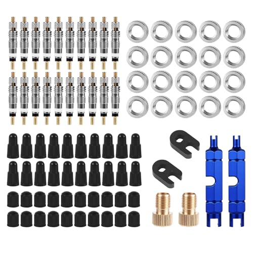 Valve Core Reparatie Kit, Bevat messing Valve Cores, Caps, Verwijderingsgereedschappen, Sleutels, Converters & Nuts Fietsbanden Reparatie Kit Compatibel met Presta & Schrader voor Road Bikes