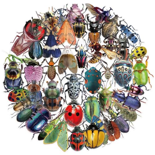 Insect Stickers voor tieners en volwassenen, 50 stuks, Insect Stickers voor tieners en volwassenen, Insecten, PET Vinylset, Auto, Motorfiets, Fiets, Skateboard, Snowboard, Bagage, Laptop, Koffer