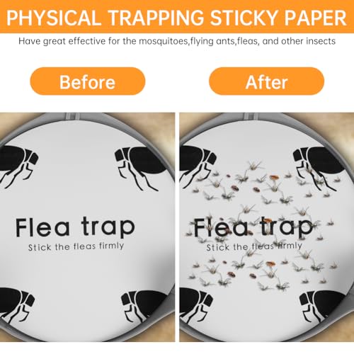 Verpakking van 12 Gooibaar Flea Trap Stickers Sticky Flea Trap Flea Catcher Flea Catch Discs voor Pet Bedroom Hallway Woonkamer Tapijt 3