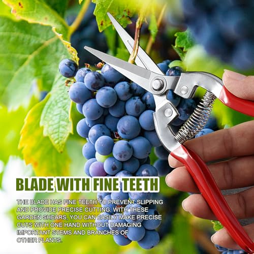 plantenschaar en snoeischaar, Kleine rechte schaar, Oogstschaar, Snoeischaar, Snoeischaar, Snoeischaar, Snoeischaar, Snoeischaar, Snoeischaar, Snoeischaar