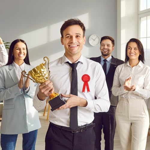 Award linten, winnaar herkenning pint deelnaam medaille pint voor competitie 5