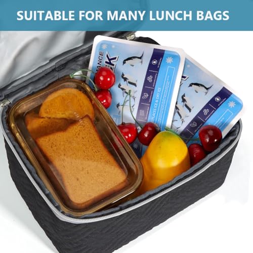 4/6 stuks ijspakketten, hoge kwaliteit koele ijszak, Duurzame herbruikbare ijsschuren, herbruikbaar voor kamperen, picknick, strand en buitensport 5